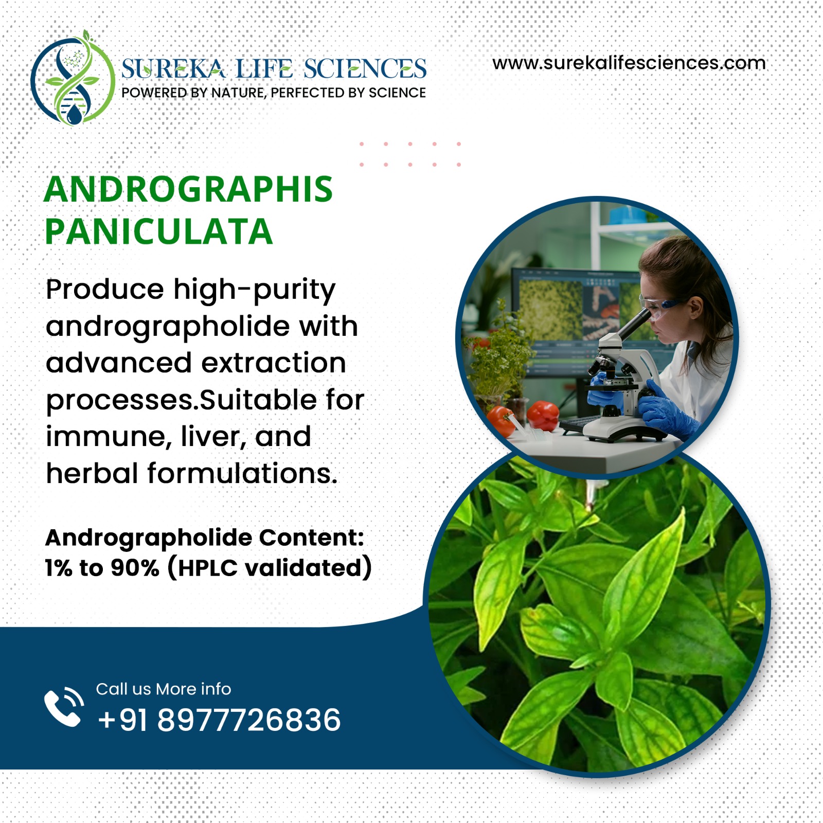 Quality & Compliance at Sureka Life Sciences